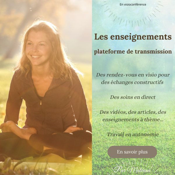 la plateforme d'enseignements